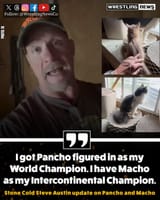 Pancho and Macho places on the card