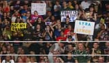 pro LYRA signs