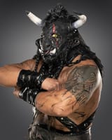 black-taurus-22