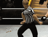 wwe-glitch