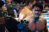 shibata1