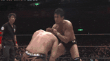 shibby headbutt
