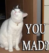 you mad