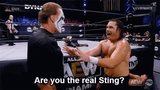 sting_real