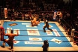 IMG_8799-770x513