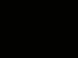 18274752
