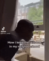 rent freeee