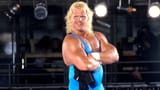 MrPerfect_bio