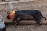 roast that squealing piggiE