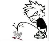 WWEbtfo