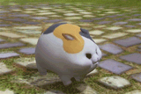 fatcat