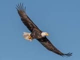 images-18