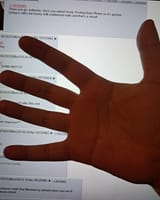 foto_no_exif (1)