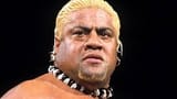 rikishi