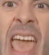 totally normal human being