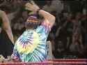 wwe-oddities_thumb.jpg