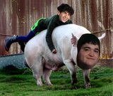 Rovert the Hog
