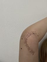 S__22372378