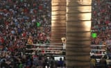 wrestlemania-palm-trees