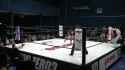 Stardom New Blood - Rina injury 1_thumb.jpg