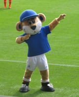 broxi