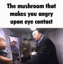 1734058557343304_thumb.jpg