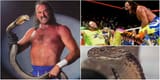 Jake-The-Snake-Macho-Man-Randy-Savage