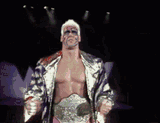 sting-wrestler-2675731305