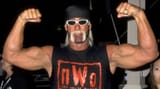 hulkhogan