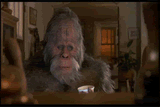 romofailharry