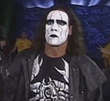 sting