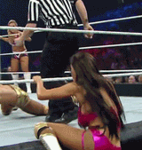 Rosa Mendes