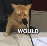would