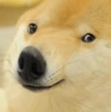 466668160_122096945390620128_3749123803474374272_n