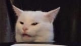 1731723926779977