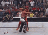 shawn-michaels-hulk-hogan
