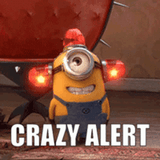crazy-alert-crazy