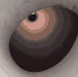 1700746185807493