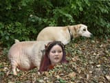 dogshit4