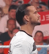 really-cm-punk