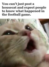 1727743370849880