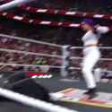 Bayley everywhere_thumb.jpg