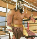 Hayabusa
