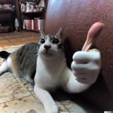 thumbsup