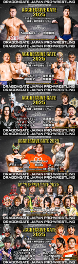 aggressive gate