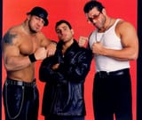 Full Blooded Italians