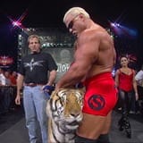 steiner tiger