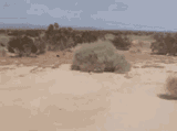 hop-on-the-cycle-frontier[1]