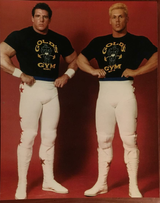 ultimate warrior sting