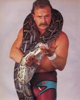 Jake-Roberts-The-Snake